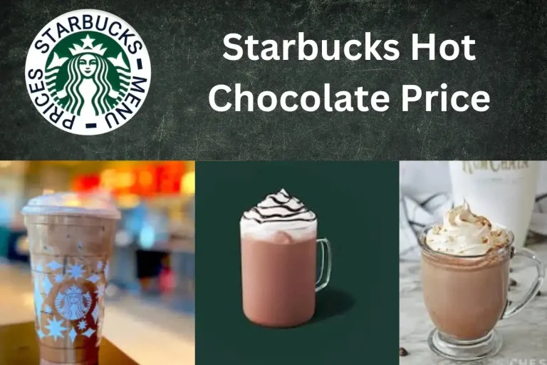 Starbucks Hot Chocolate Price